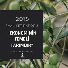 2018 faaliyet raporu