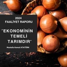 2024 faaliyet raporu